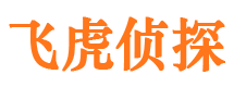 海南区市私家侦探